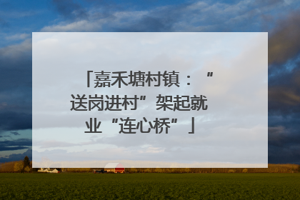 嘉禾塘村镇：“送岗进村”架起就业“连心桥”