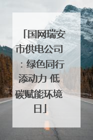 国网瑞安市供电公司：绿色同行添动力 低碳赋能环境日
