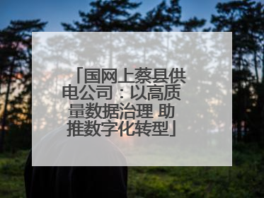 国网上蔡县供电公司：以高质量数据治理 助推数字化转型