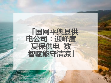 国网平舆县供电公司：迎峰度夏保供电  数智赋能守清凉