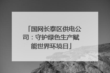 国网长泰区供电公司：守护绿色生产赋能世界环境日