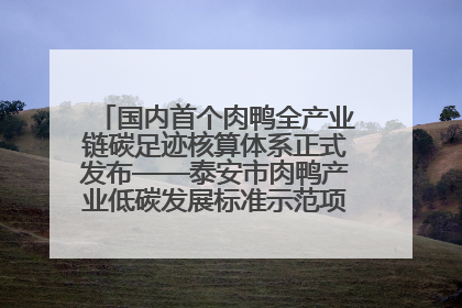 国内首个肉鸭全产业链碳足迹核算体系正式发布——泰安市肉鸭产业低碳发展标准示范项目顺利通过验收