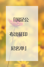 国足公布出征印尼名单