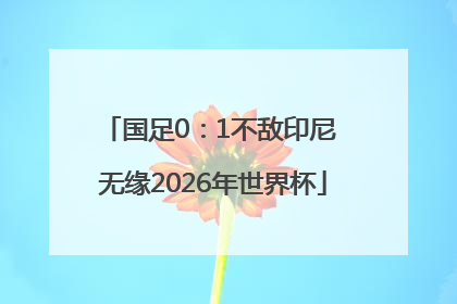 国足0：1不敌印尼 无缘2026年世界杯