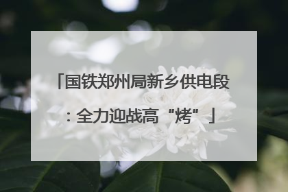 国铁郑州局新乡供电段：全力迎战高“烤”
