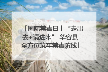 国际禁毒日丨“走出去+请进来” 华容县全方位筑牢禁毒防线