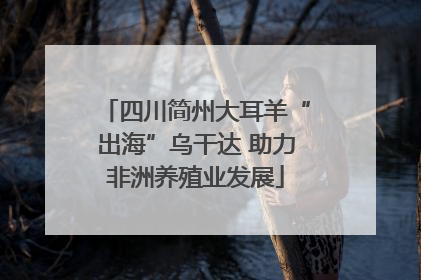 四川简州大耳羊“出海”乌干达 助力非洲养殖业发展