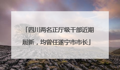 四川两名正厅级干部近期履新，均曾任遂宁市市长