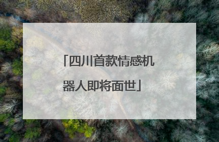 四川首款情感机器人即将面世