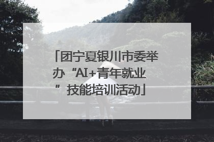 团宁夏银川市委举办“AI+青年就业”技能培训活动