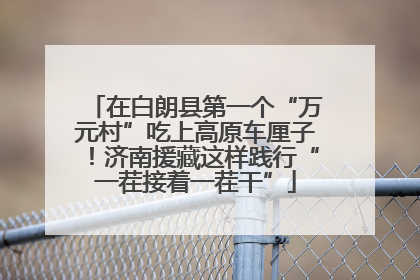 在白朗县第一个“万元村”吃上高原车厘子！济南援藏这样践行“一茬接着一茬干”
