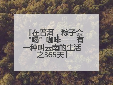 在普洱，粽子会“喝”咖啡——有一种叫云南的生活之365天
