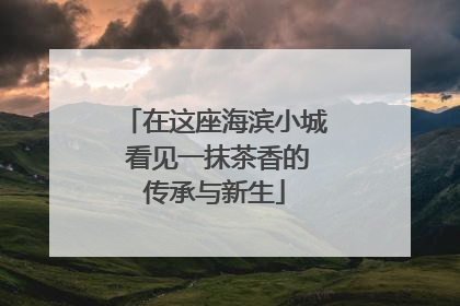 在这座海滨小城 看见一抹茶香的传承与新生