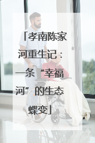 孝南陈家河重生记：一条“幸福河”的生态蝶变