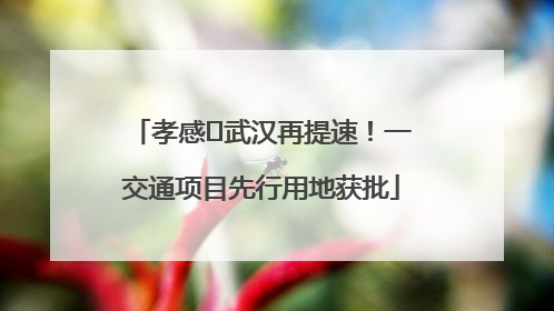 孝感⇋武汉再提速！一交通项目先行用地获批