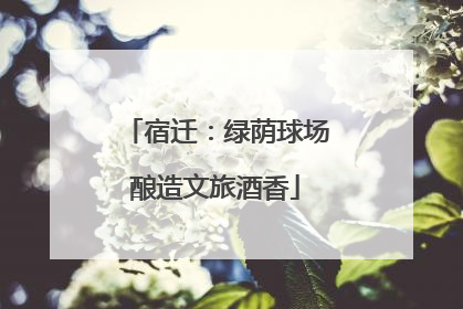 宿迁：绿荫球场酿造文旅酒香