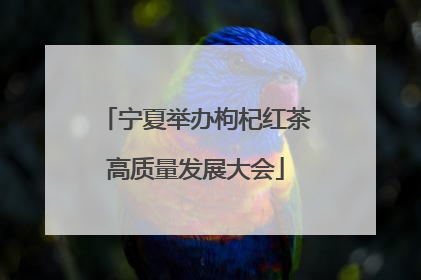 宁夏举办枸杞红茶高质量发展大会