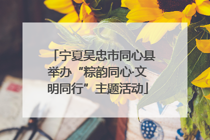 宁夏吴忠市同心县举办“粽韵同心·文明同行”主题活动