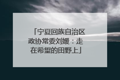 宁夏回族自治区政协常委刘媛：走在希望的田野上