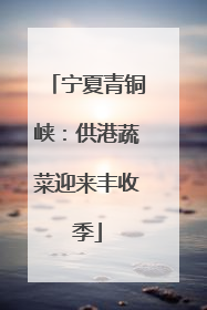 宁夏青铜峡：供港蔬菜迎来丰收季