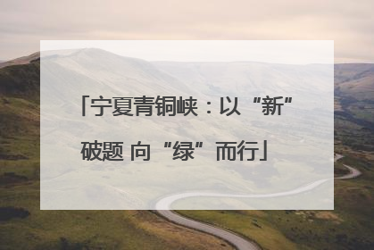 宁夏青铜峡：以“新”破题 向“绿”而行