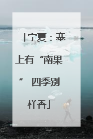 宁夏：塞上有“南果” 四季别样香