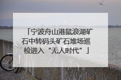 宁波舟山港鼠浪湖矿石中转码头矿石堆场巡检进入“无人时代”