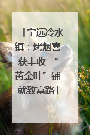 宁远冷水镇：烤烟喜获丰收 “黄金叶”铺就致富路