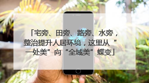 宅旁、田旁、路旁、水旁，整治提升人居环境，这里从“一处美”向“全域美”蝶变