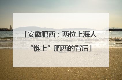 安徽肥西：两位上海人“链上”肥西的背后