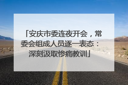 安庆市委连夜开会，常委会组成人员逐一表态：深刻汲取惨痛教训