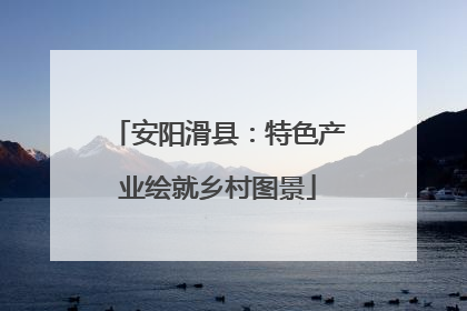 安阳滑县：特色产业绘就乡村图景