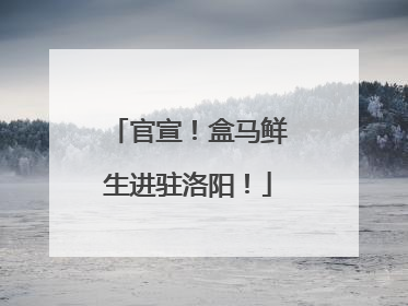 官宣！盒马鲜生进驻洛阳！