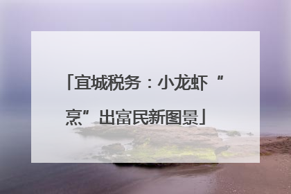 宜城税务：小龙虾“烹”出富民新图景