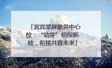 宜宾翠屏象鼻中心校：“幼芽”初探新枝，衔接共育未来