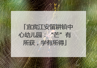 宜宾江安留耕镇中心幼儿园：“芒”有所获，学有所得