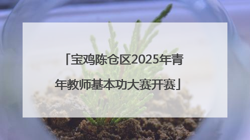 宝鸡陈仓区2025年青年教师基本功大赛开赛