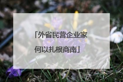 外省民营企业家何以扎根商南