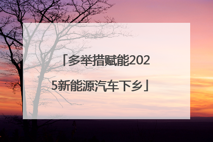 多举措赋能2025新能源汽车下乡