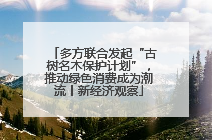 多方联合发起“古树名木保护计划”，推动绿色消费成为潮流丨新经济观察