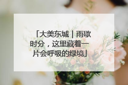 大美东城｜雨歇时分，这里藏着一片会呼吸的绿境