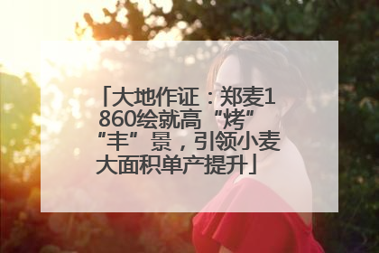 大地作证：郑麦1860绘就高“烤”“丰”景，引领小麦大面积单产提升