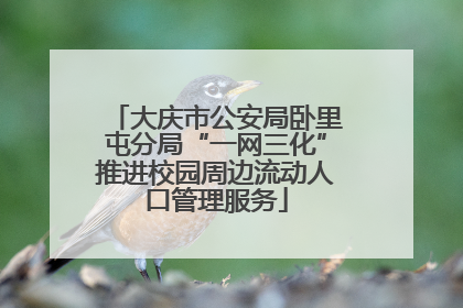 大庆市公安局卧里屯分局“一网三化”推进校园周边流动人口管理服务