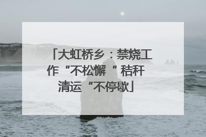大虹桥乡：禁烧工作“不松懈“ 秸秆清运“不停歇