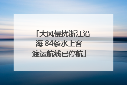 大风侵扰浙江沿海 84条水上客渡运航线已停航