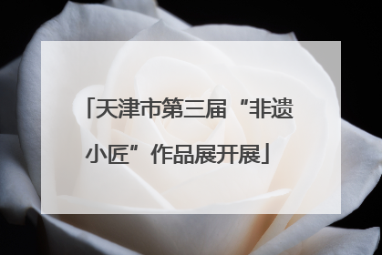 天津市第三届“非遗小匠”作品展开展