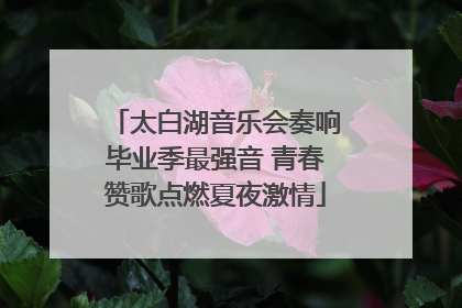 太白湖音乐会奏响毕业季最强音 青春赞歌点燃夏夜激情