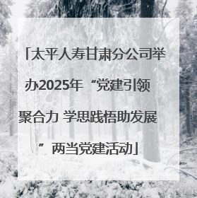 太平人寿甘肃分公司举办2025年“党建引领聚合力 学思践悟助发展”两当党建活动
