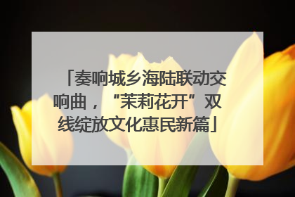 奏响城乡海陆联动交响曲，“茉莉花开”双线绽放文化惠民新篇