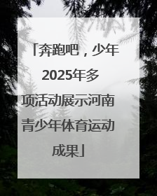 奔跑吧，少年 2025年多项活动展示河南青少年体育运动成果